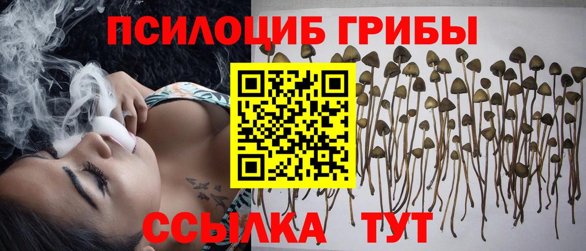 Галлюциногенные грибы Magic Shrooms Серпухов