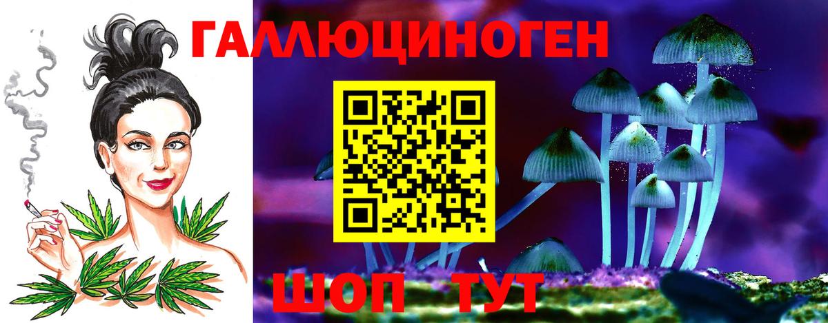 Псилоцибиновые грибы MAGIC MUSHROOMS  Вход с VPN  Серпухов 